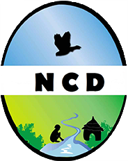 NCD Sénégal
